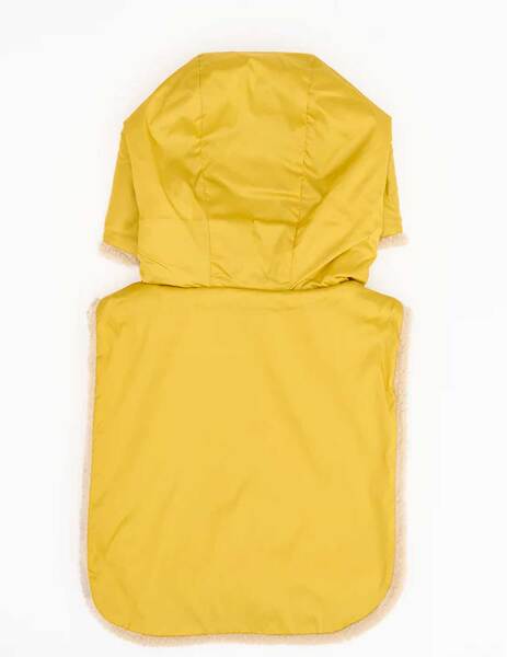 Gallery 1763581466637 3